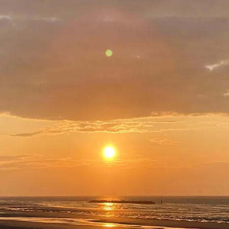 Type 3 Entierement Renove Vue Pleine *