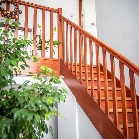 Apartment Type 3 Entierement Renove Vue Pleine